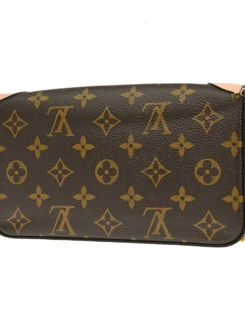 LOUIS VUITTON POCHETTE FELICIE VALENTINE DOG SHOULDER BAG